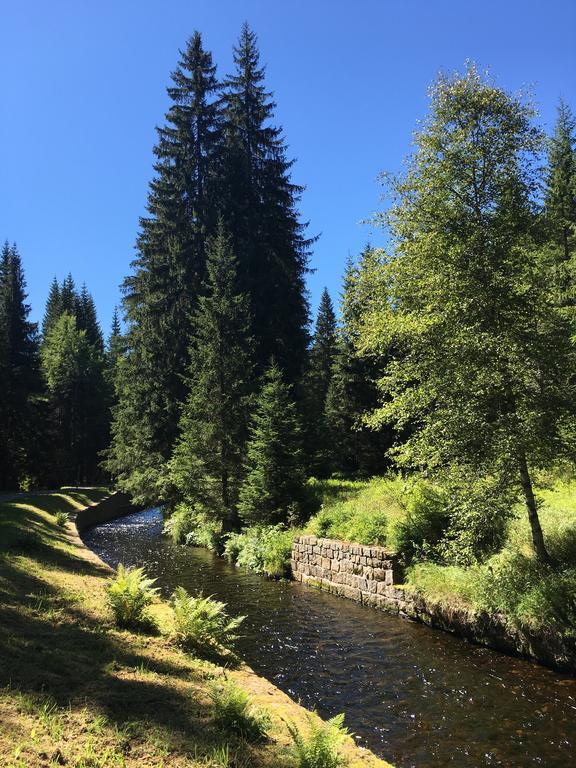 Apartmán u lesa, Srní 119 Esterno foto