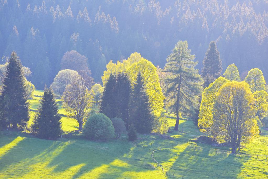 Apartmán u lesa, Srní 119 Esterno foto