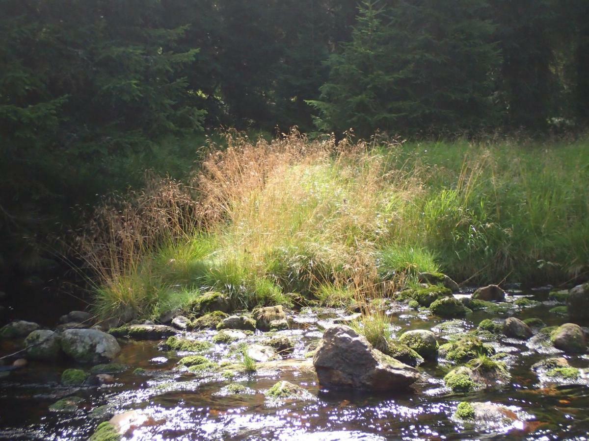 Apartmán u lesa, Srní 119 Esterno foto